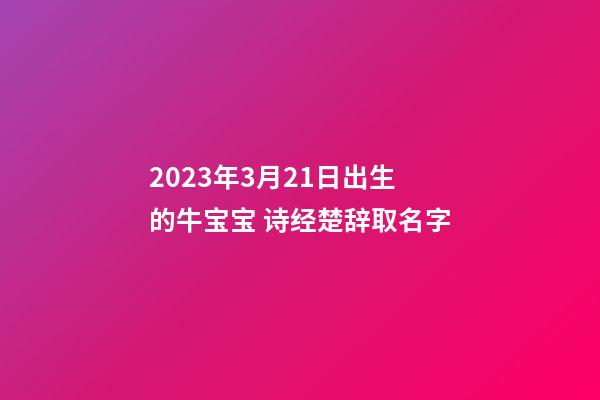 2023年3月21日出生的牛宝宝 诗经楚辞取名字